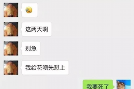 甘南企业清欠服务